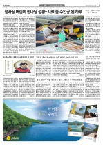 5면