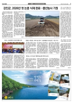 5면