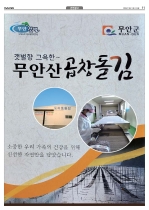 11면