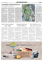 4면