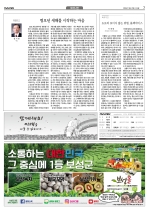 7면