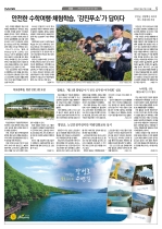 5면