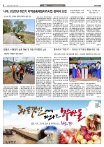 6면