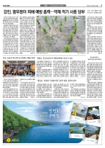 5면