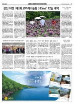 5면