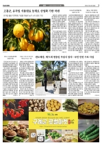 3면