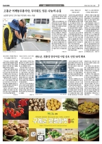 3면