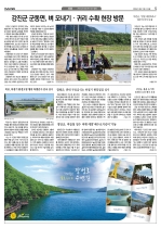 5면