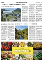 3면