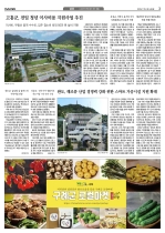3면