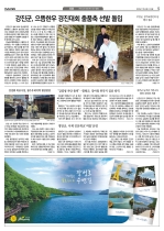 5면