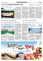 6면