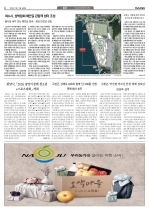 4면