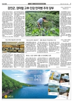 5면