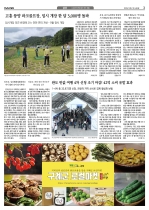 3면