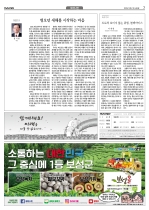 7면
