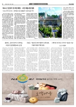 4면
