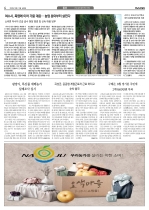4면
