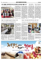 6면