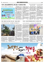 6면