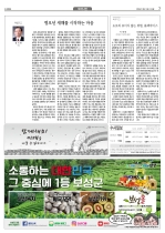 7면