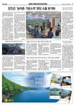 5면