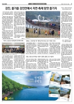 5면