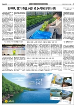 5면