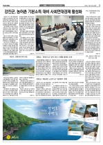 5면