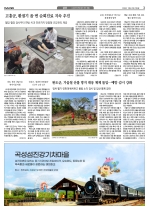 3면